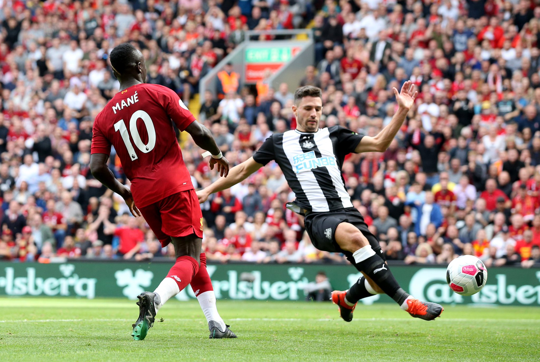 本土球员张 本土球员张